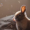 Cute Bunny Desktop 4K
