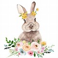 Cute Bunny Print