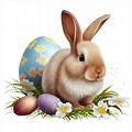 Cute Easter Bunny Pics