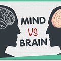Mind Brain