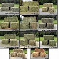 Different Kinds Hay