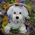 Dog Bouquet Made Out Flowers