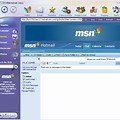 MSN Browser