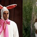Famous People Bunnies