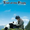 Film Trail of the Panda