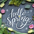 Hello Spring Wallpaper Backgrounds Free