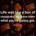 Chocolates Funny Quotes