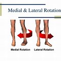 Medial/Lateral