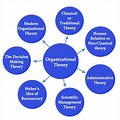 Organizational Structure