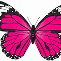Clip Art White-Tipped Wings