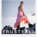 Trust Fall Cover