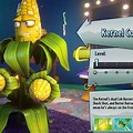 2 Kernel Corn