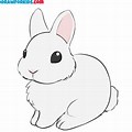 Random Things to Draw Cute Bunny