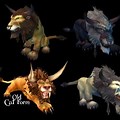 Druid Forms