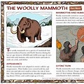 Mammoth Facts for Kids