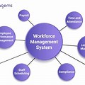 Management Definition