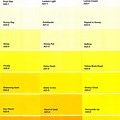 Yellow Color Paint Samples