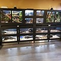 Zoo Med Display Shelf