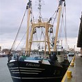 Hamble Trawler