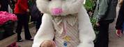 Ideas for Easter Bunny Visit