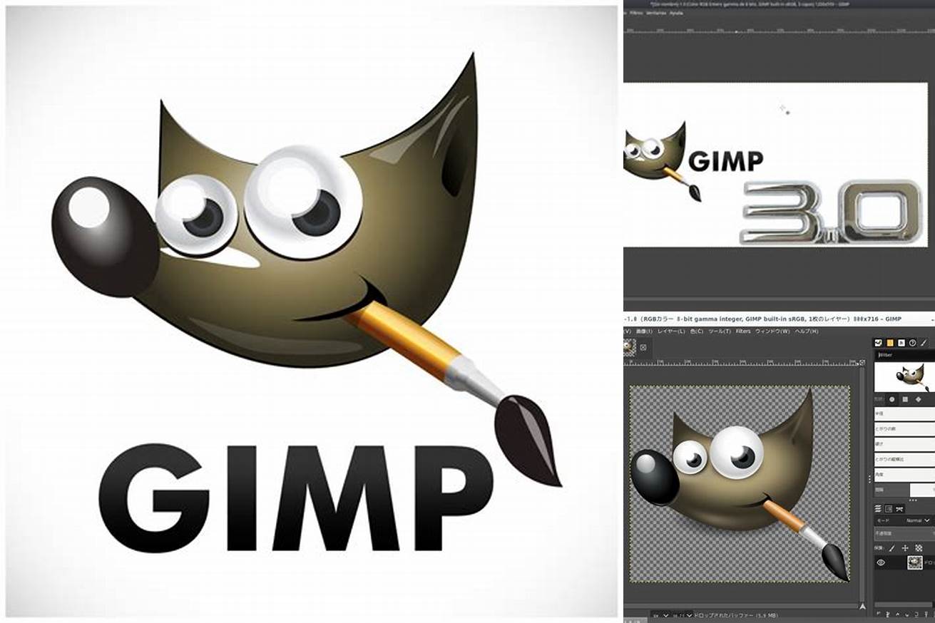 3. GIMP