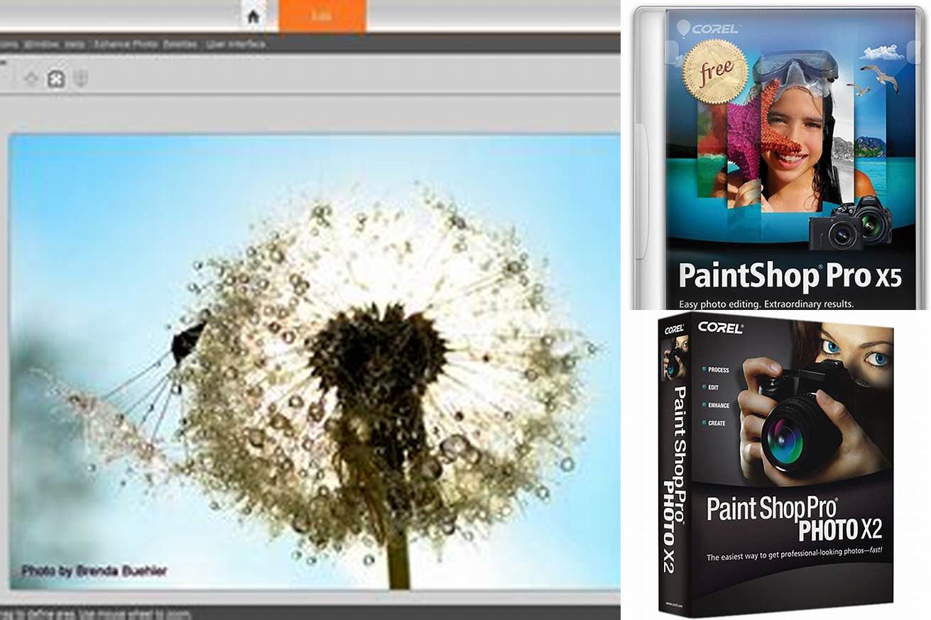 5. Corel PaintShop Pro
