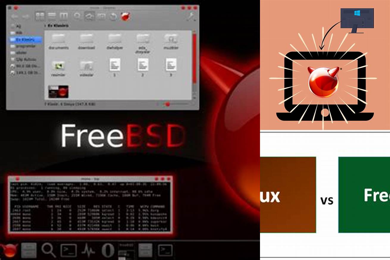 6. Windows dan FreeBSD