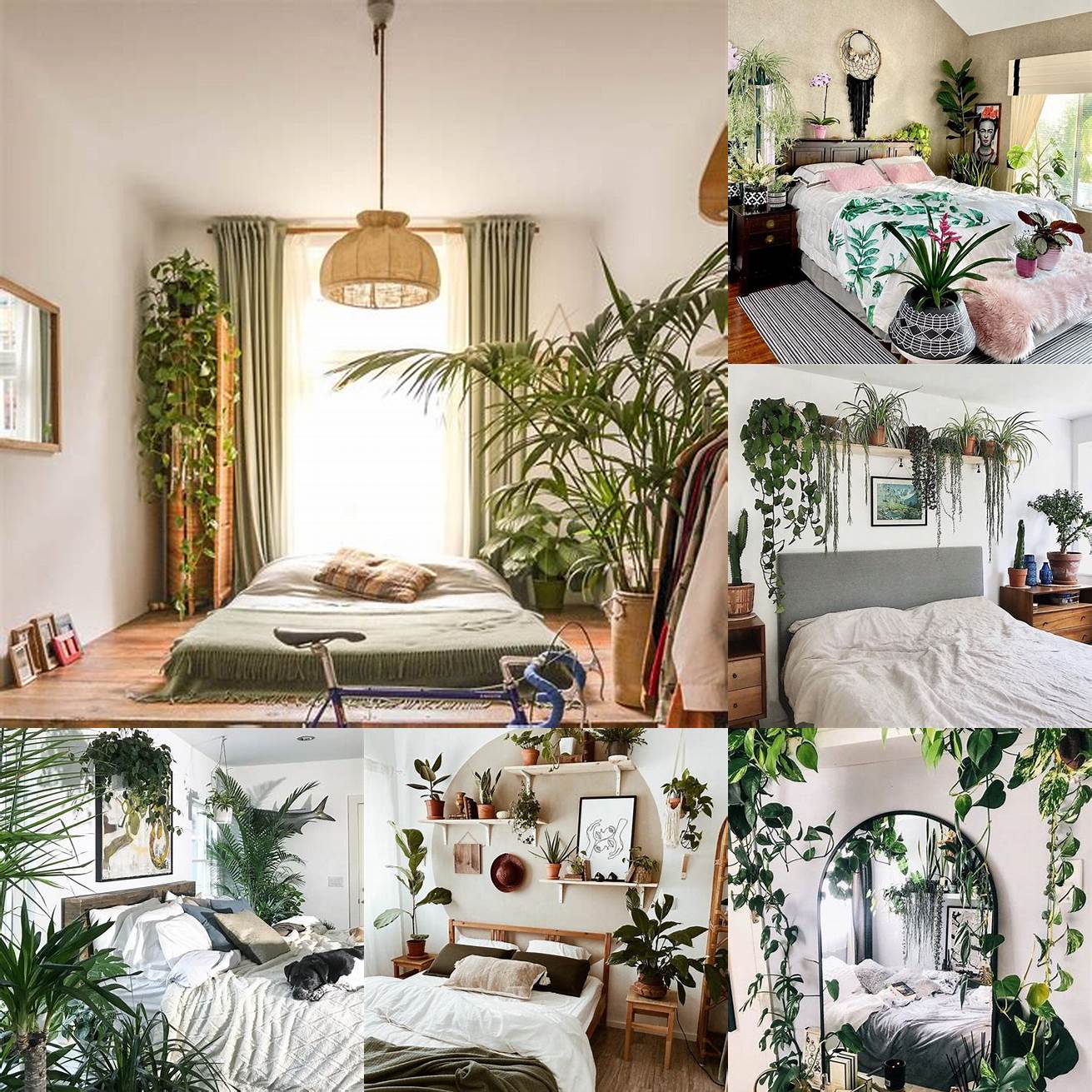 Add some life to your bedroom with plants and greenery
