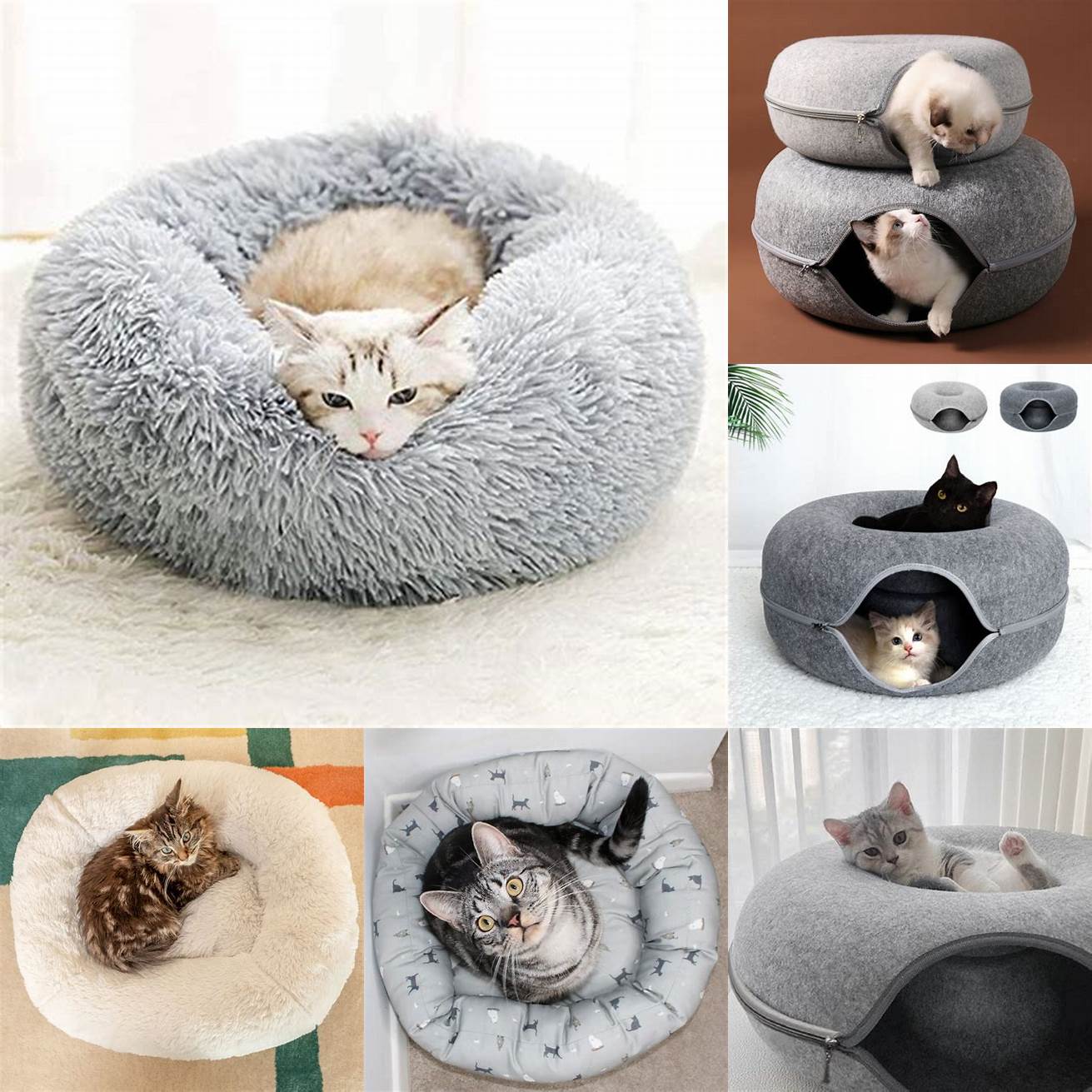 Cat sleeping in a donut bed