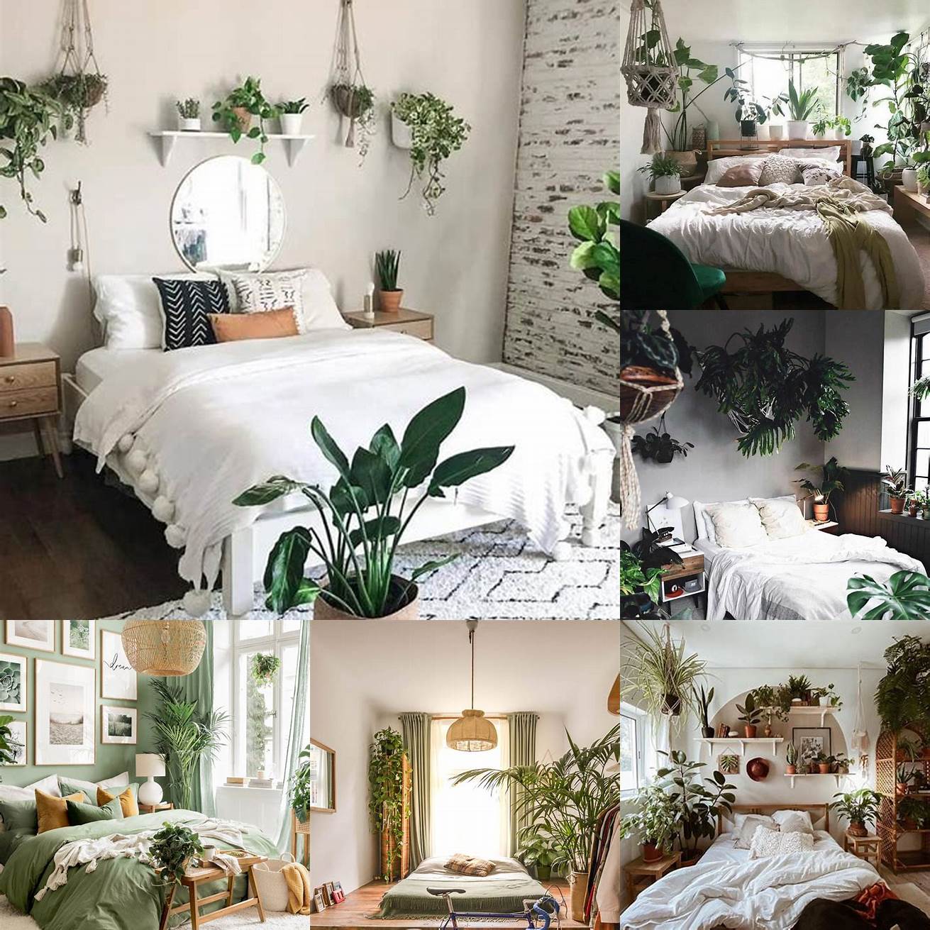 Image Idea White bedroom with green plants and natural textures