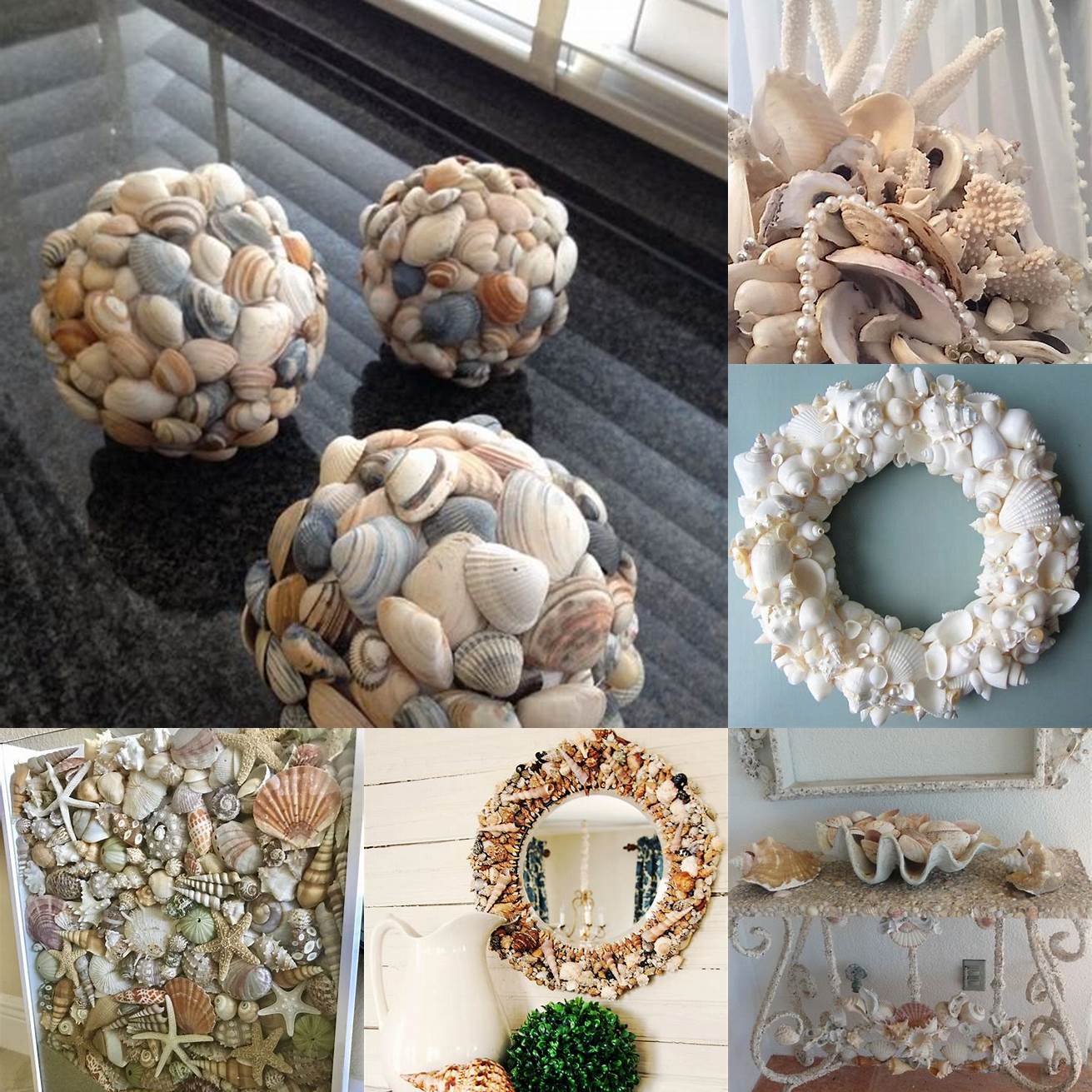 Seashell accents