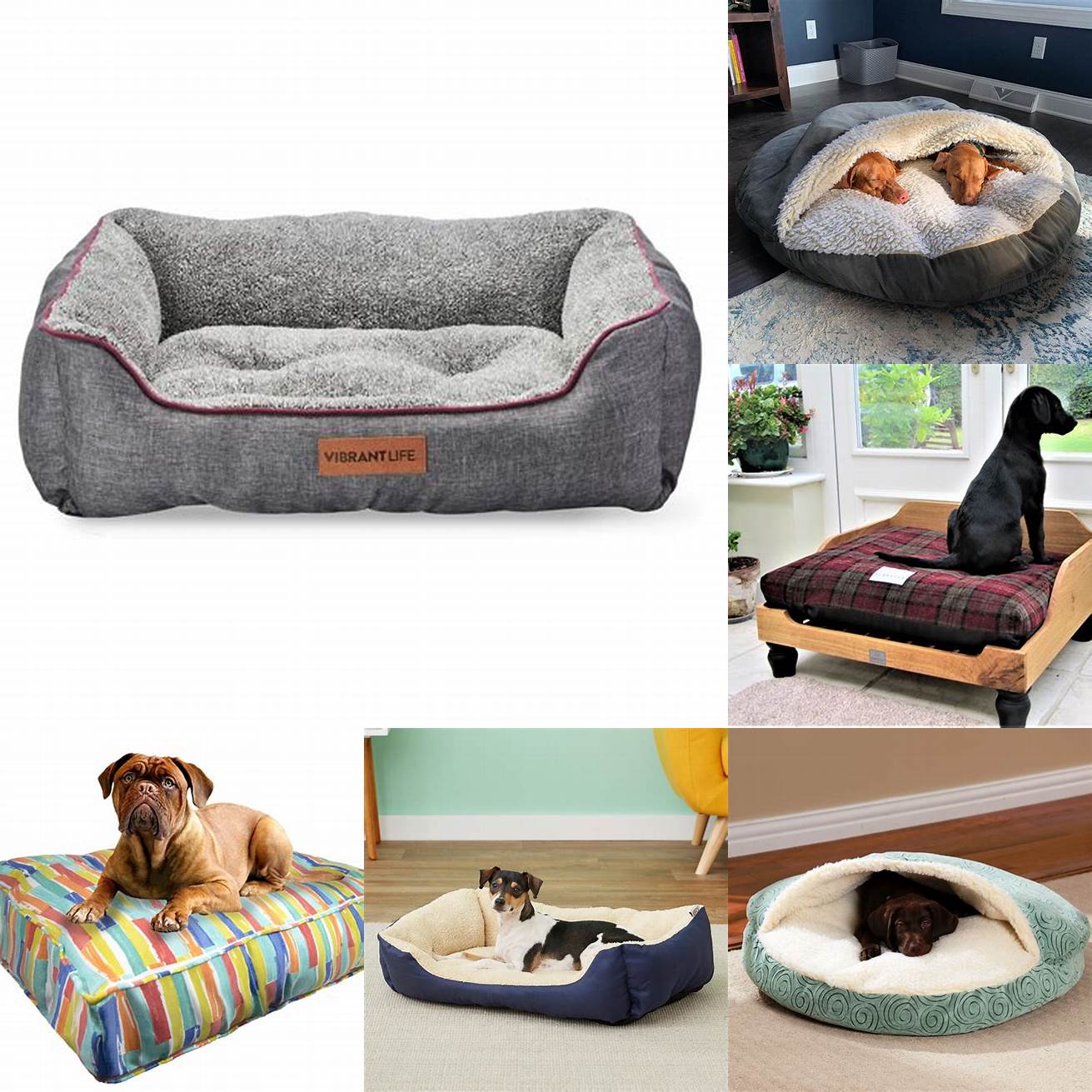 Standard Dog Bed