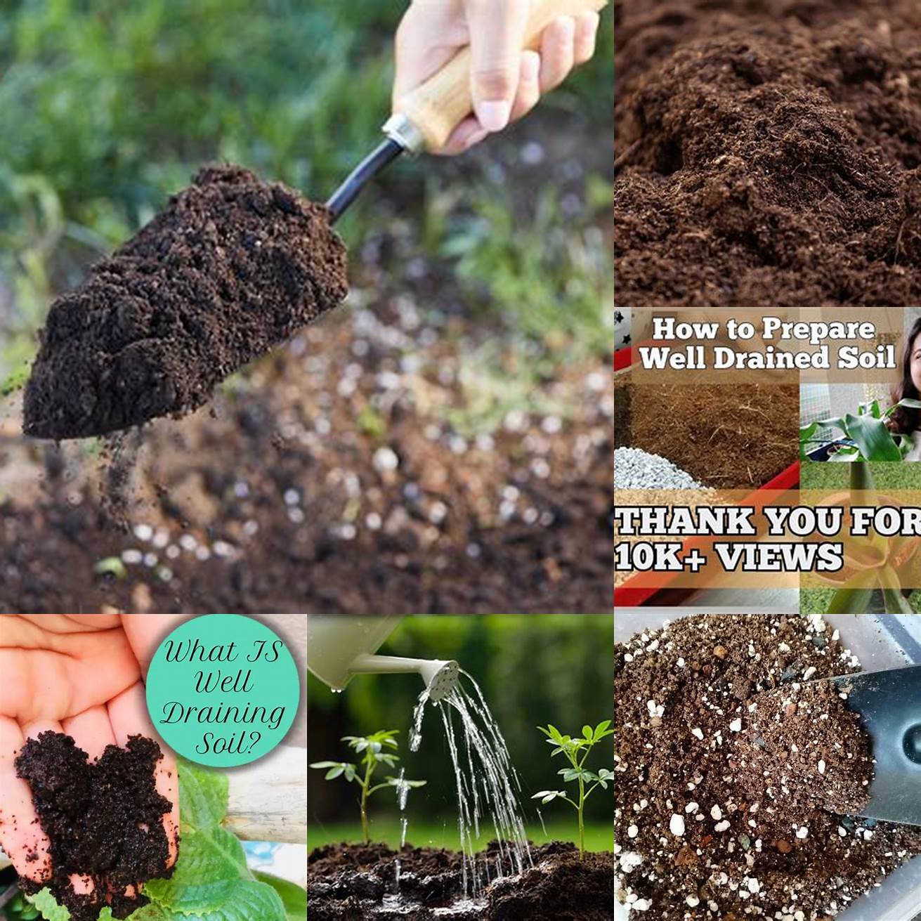 Use a well-draining and nutrient-rich soil