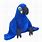 Blue Bird Stuffed Animal