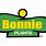 Bonnie Vegetable Plants