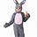 Bunny Boy Costume
