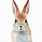 Bunny Rabbit Art Print Watercolor