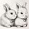 Bunny Rabbit Sketches