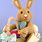 Crochet Easter Bunny Amigurumi