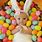 Cute Easter Baby Pictures