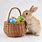 Easter Bunny in a Basket