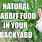 Food for Wild Rabbits