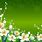 Green Flower Wallpaper HD