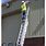 Ladder Fall Protection