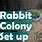 Making a Rabbit Colony