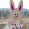 Preschool Easter Bunny Art