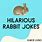 Rabbit Jokes