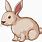 Small Animated Bunny