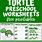 Turtle Preschool Printable