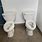 Two Toilets